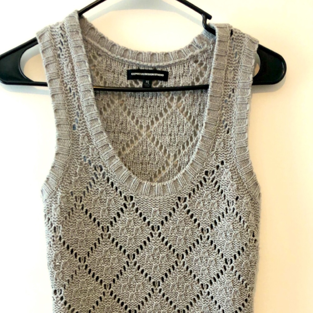 Express sweater vest